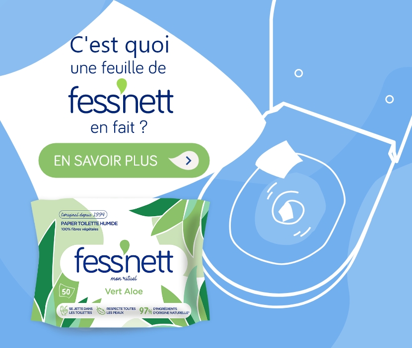 Fess'nett Fess'nett Papier Toilette Humide Peaux Normales 50 Lingettes Vert  Ylang (lot de 6) 